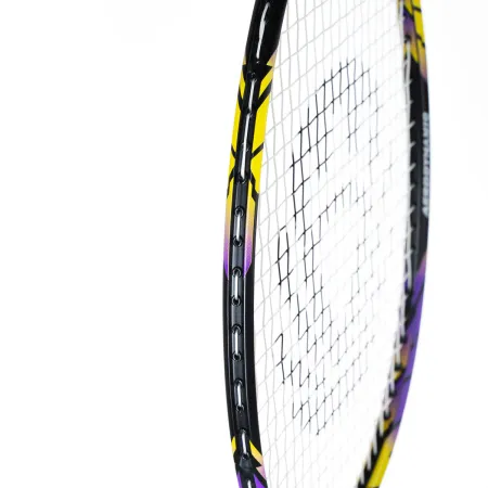 Ракетка бадм. TORRES Carbon PRO6, BD20521,для продв., стерж/обод из карбона,со струнами, фиол за 4&nbsp;477.80 ₽ купить в Самаре